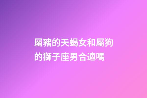 屬豬的天蝎女和屬狗的獅子座男合適嗎-第1張-星座運勢-玄機派