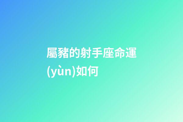 屬豬的射手座命運(yùn)如何-第1張-星座運(yùn)勢(shì)-玄機(jī)派