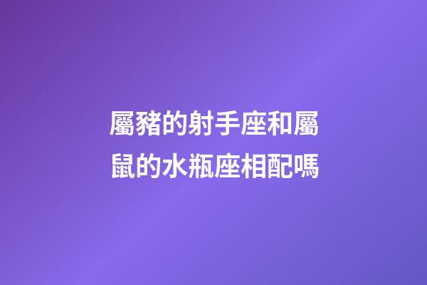 屬豬的射手座和屬鼠的水瓶座相配嗎-第1張-星座運勢-玄機派