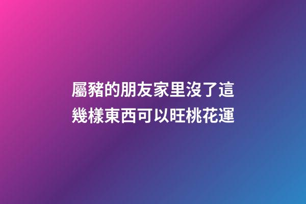 屬豬的朋友家里沒了這幾樣東西可以旺桃花運