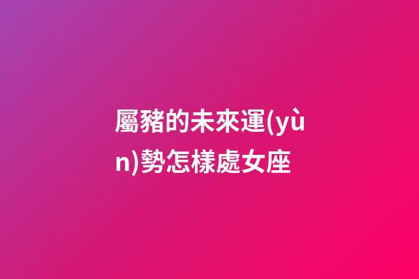 屬豬的未來運(yùn)勢怎樣處女座