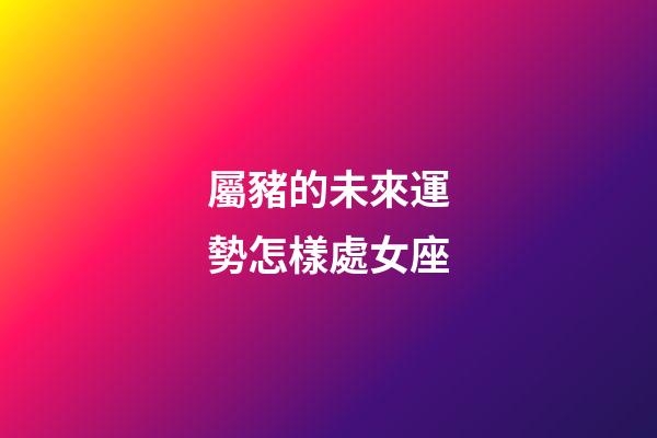 屬豬的未來運勢怎樣處女座-第1張-星座運勢-玄機派