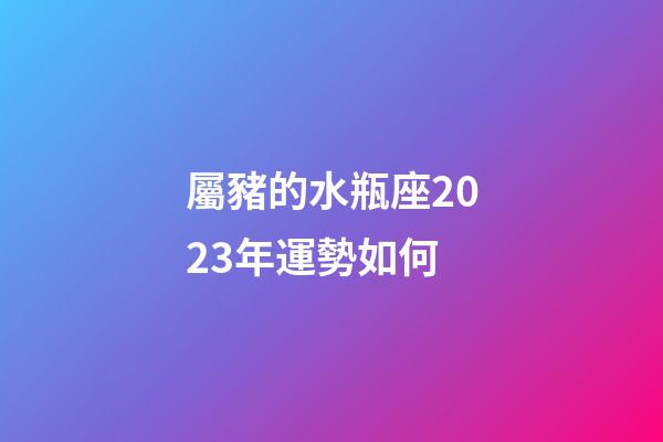 屬豬的水瓶座2023年運勢如何-第1張-星座運勢-玄機派