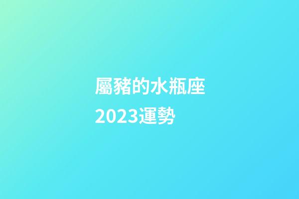 屬豬的水瓶座2023運勢-第1張-星座運勢-玄機派