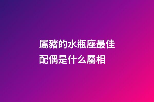 屬豬的水瓶座最佳配偶是什么屬相-第1張-星座運勢-玄機派