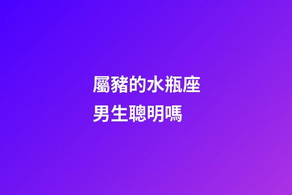 屬豬的水瓶座男生聰明嗎-第1張-星座運(yùn)勢(shì)-玄機(jī)派