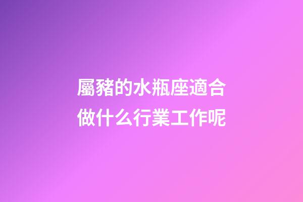 屬豬的水瓶座適合做什么行業工作呢-第1張-星座運勢-玄機派