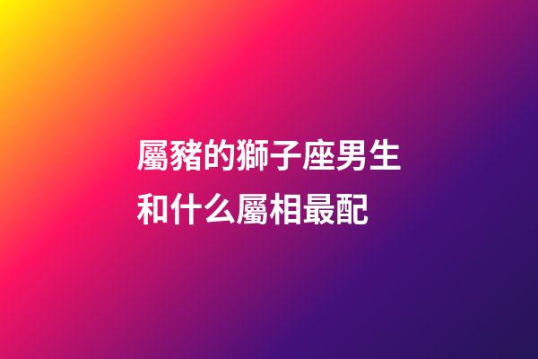 屬豬的獅子座男生和什么屬相最配-第1張-星座運勢-玄機派