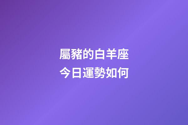 屬豬的白羊座今日運勢如何-第1張-星座運勢-玄機派