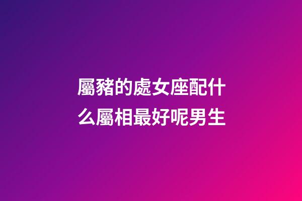 屬豬的處女座配什么屬相最好呢男生-第1張-星座運勢-玄機派