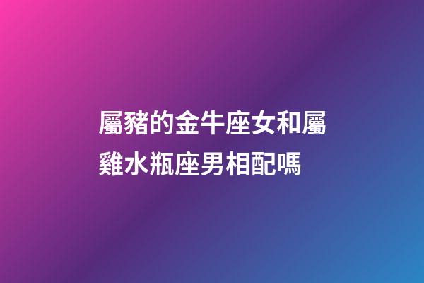 屬豬的金牛座女和屬雞水瓶座男相配嗎-第1張-星座運(yùn)勢(shì)-玄機(jī)派