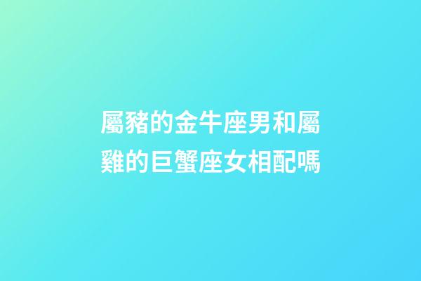 屬豬的金牛座男和屬雞的巨蟹座女相配嗎-第1張-星座運勢-玄機派