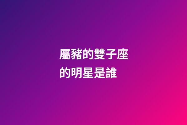屬豬的雙子座的明星是誰