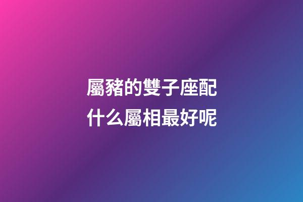 屬豬的雙子座配什么屬相最好呢-第1張-星座運勢-玄機派
