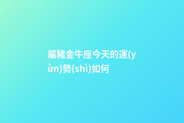 屬豬金牛座今天的運(yùn)勢(shì)如何-第1張-星座運(yùn)勢(shì)-玄機(jī)派