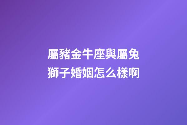 屬豬金牛座與屬兔獅子婚姻怎么樣啊