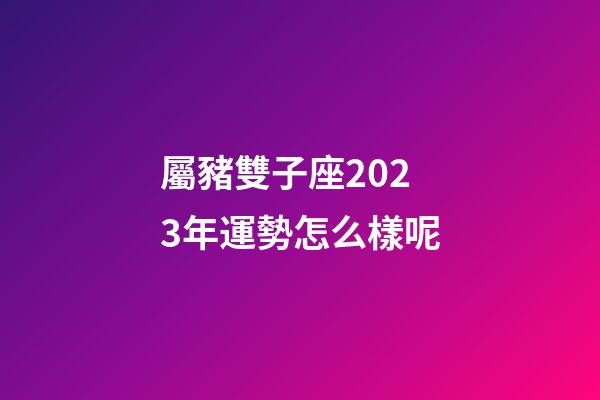 屬豬雙子座2023年運勢怎么樣呢-第1張-星座運勢-玄機派