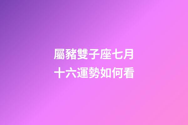 屬豬雙子座七月十六運勢如何看-第1張-星座運勢-玄機派
