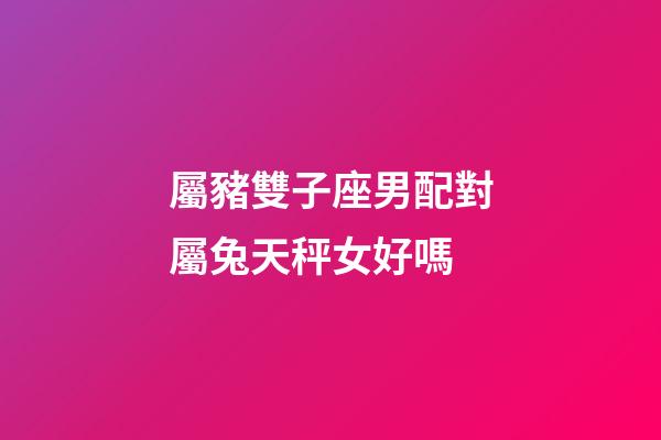 屬豬雙子座男配對屬兔天秤女好嗎-第1張-星座運勢-玄機派