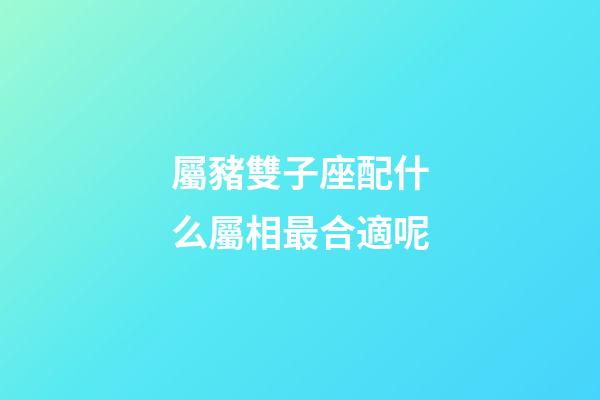 屬豬雙子座配什么屬相最合適呢-第1張-星座運勢-玄機派