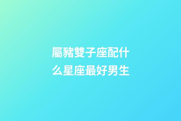 屬豬雙子座配什么星座最好男生-第1張-星座運勢-玄機派