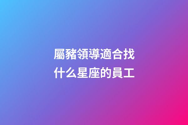 屬豬領導適合找什么星座的員工-第1張-星座運勢-玄機派