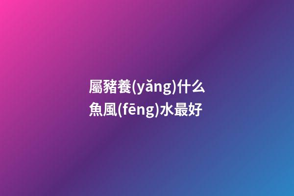 屬豬養(yǎng)什么魚風(fēng)水最好
