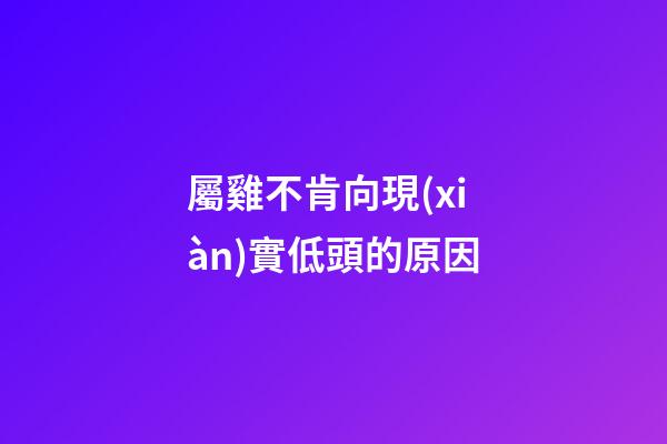 屬雞不肯向現(xiàn)實低頭的原因