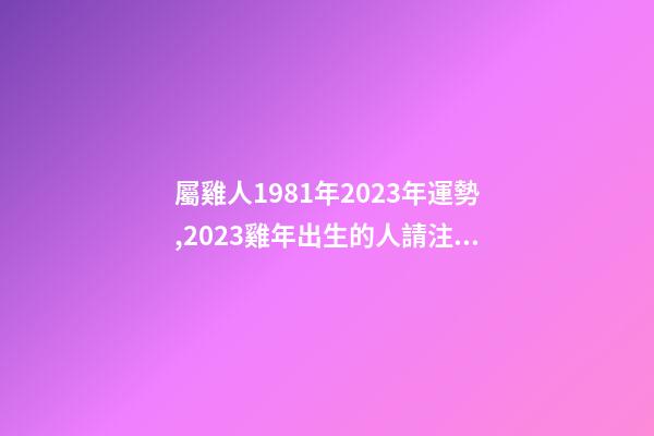 屬雞人1981年2023年運勢,2023雞年出生的人請注意!事業有機會-第1張-觀點-玄機派