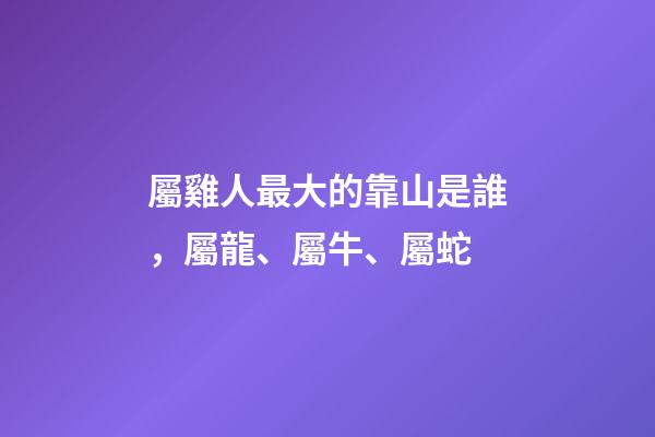 屬雞人最大的靠山是誰，屬龍、屬牛、屬蛇