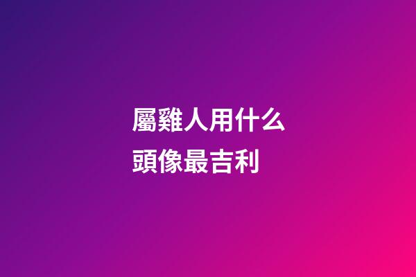 屬雞人用什么頭像最吉利