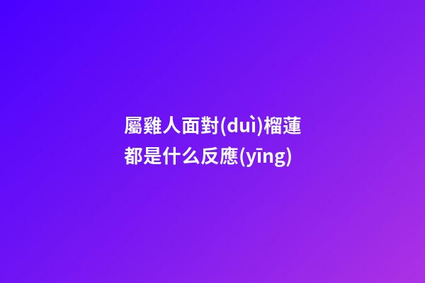 屬雞人面對(duì)榴蓮都是什么反應(yīng)