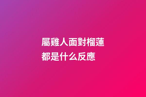 屬雞人面對榴蓮都是什么反應