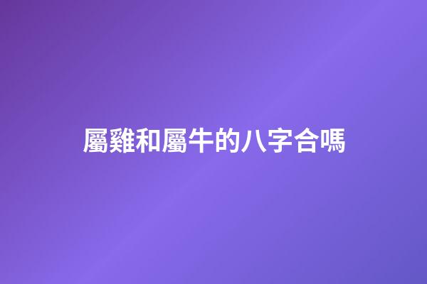 屬雞和屬牛的八字合嗎