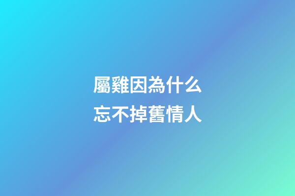 屬雞因為什么忘不掉舊情人