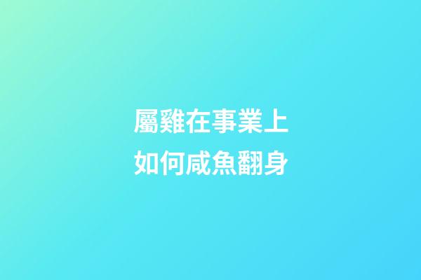 屬雞在事業上如何咸魚翻身