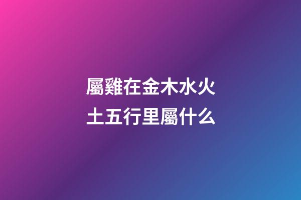 屬雞在金木水火土五行里屬什么