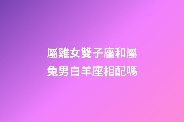 屬雞女雙子座和屬兔男白羊座相配嗎-第1張-星座運勢-玄機派