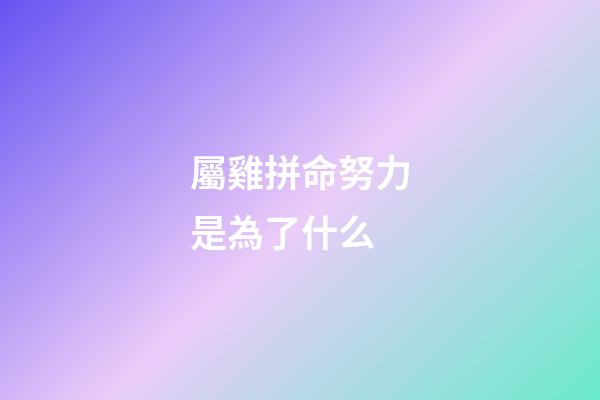 屬雞拼命努力是為了什么