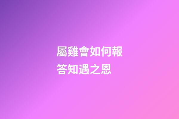 屬雞會如何報答知遇之恩