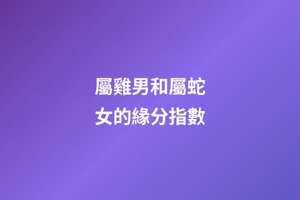 屬雞男和屬蛇女的緣分指數