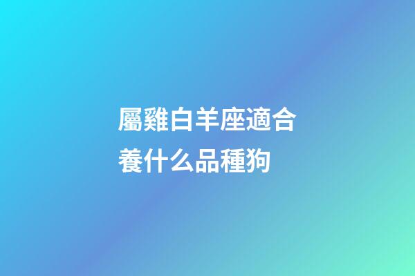 屬雞白羊座適合養什么品種狗