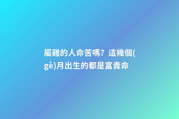 屬雞的人命苦嗎？這幾個(gè)月出生的都是富貴命