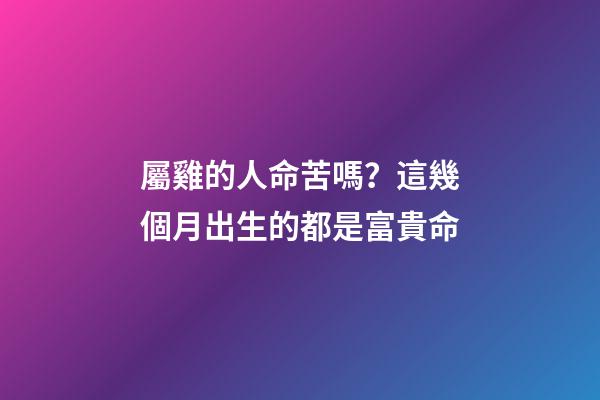 屬雞的人命苦嗎？這幾個月出生的都是富貴命