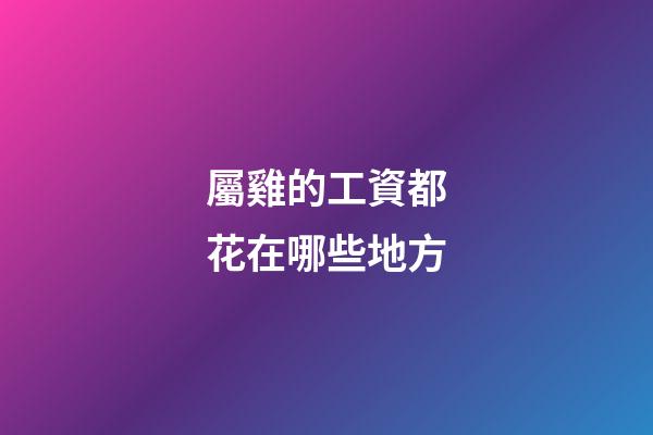 屬雞的工資都花在哪些地方