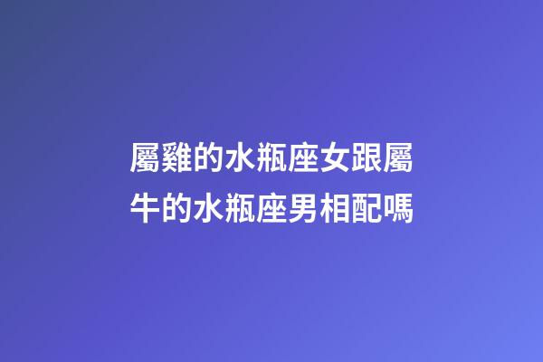 屬雞的水瓶座女跟屬牛的水瓶座男相配嗎-第1張-星座運(yùn)勢(shì)-玄機(jī)派