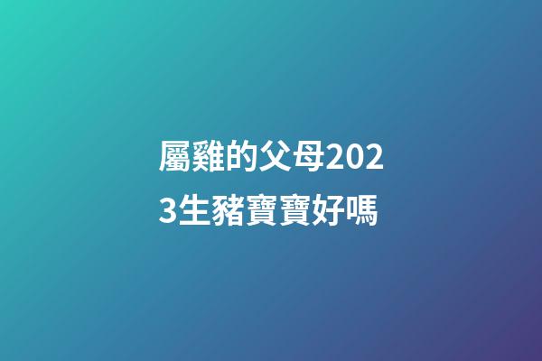 屬雞的父母2023生豬寶寶好嗎