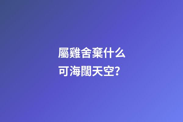 屬雞舍棄什么可海闊天空？