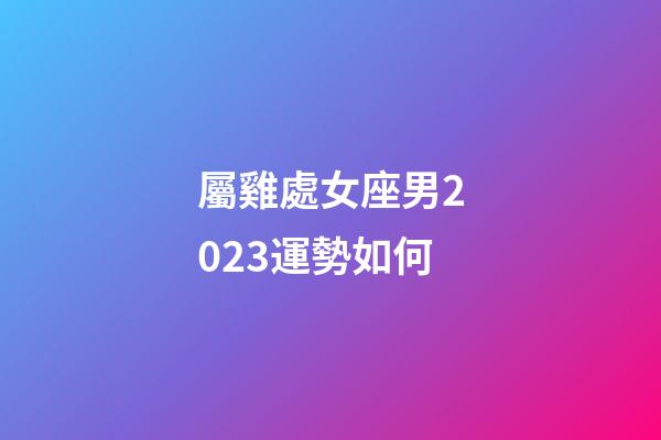 屬雞處女座男2023運勢如何-第1張-星座運勢-玄機派
