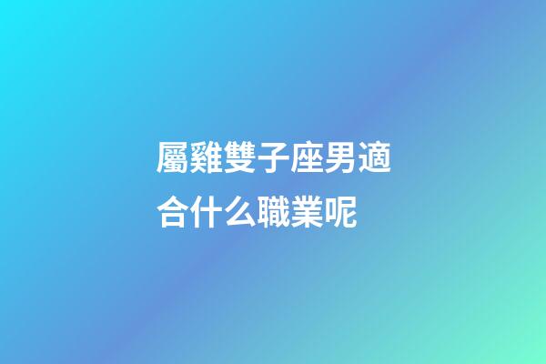 屬雞雙子座男適合什么職業呢-第1張-星座運勢-玄機派